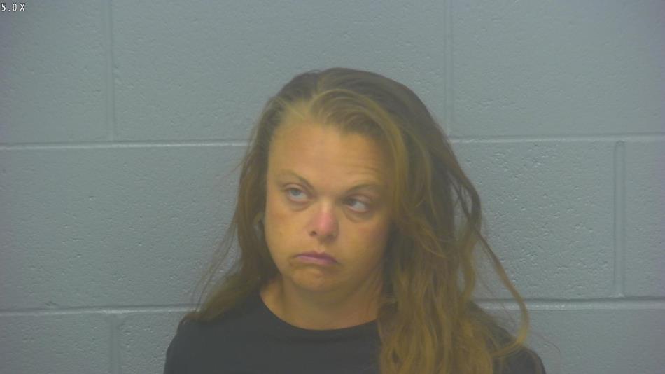 Arrest photo of SARA VAN ENGERS